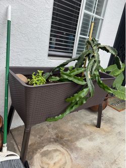 Planter