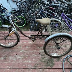 Adult Tricycle BIKE
