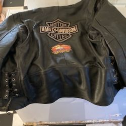 Harley Leather Jacket Harley Davidson Hawaii