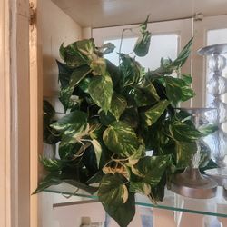 Fake Plant