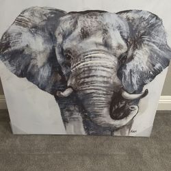 Elephant Picture