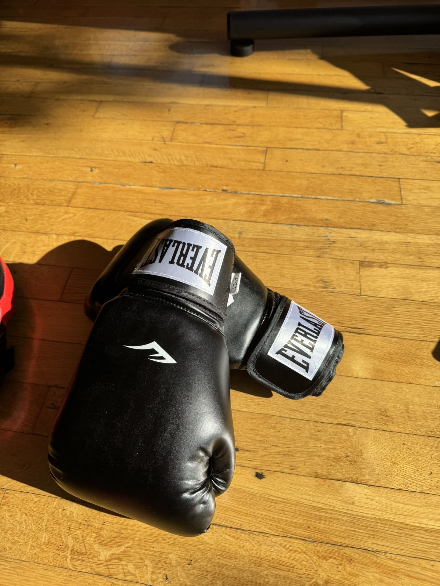 Everlasting 12 Oz Pro Style Boxing Gloves And Focus Mits