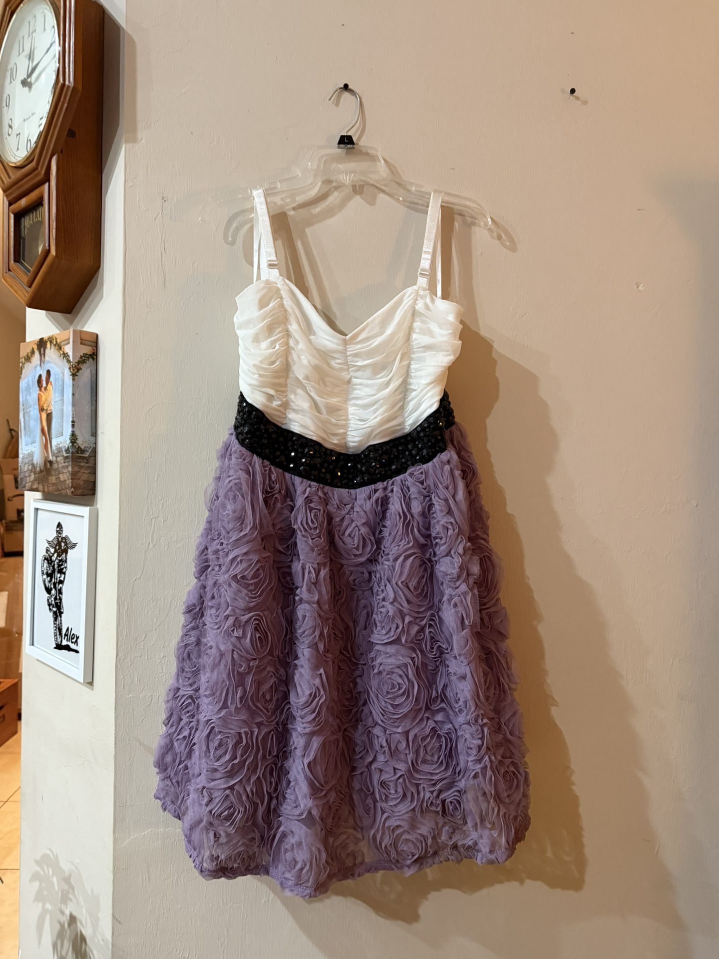 Brand New TRIXXI Dress, NEVER WORN!  