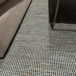 West Elm Indoor Outdoor Rug 8x10