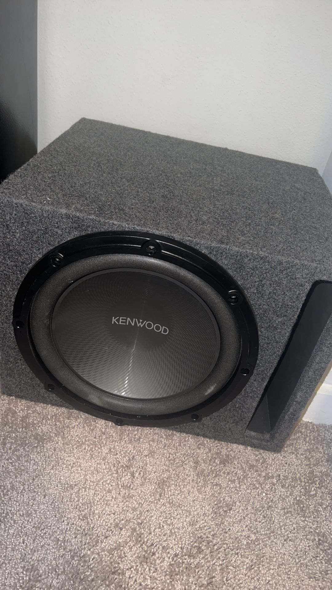 12 Inch Subwoofer