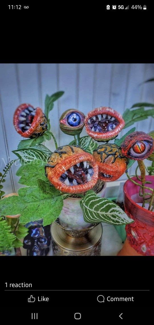 Halloween Plants