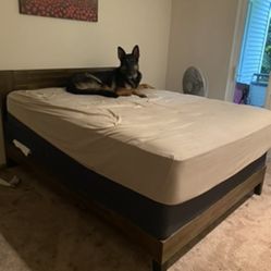 Sleepys Mattress Firm Queen Size Box Spring