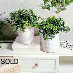 2piece Set Artificial Plants in Vases made of Real Ceramic, 8"x6"each , CASH ONLY, PICKUP ONLY -home decor, fake plants, faux plants, flowers 