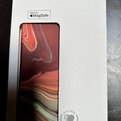 iPhone 13 Pro max Case