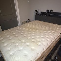 Full Size Saatva Luxury Firm 14in Mattress With Bed Frame And Headboard