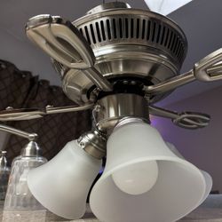 Ceiling fan