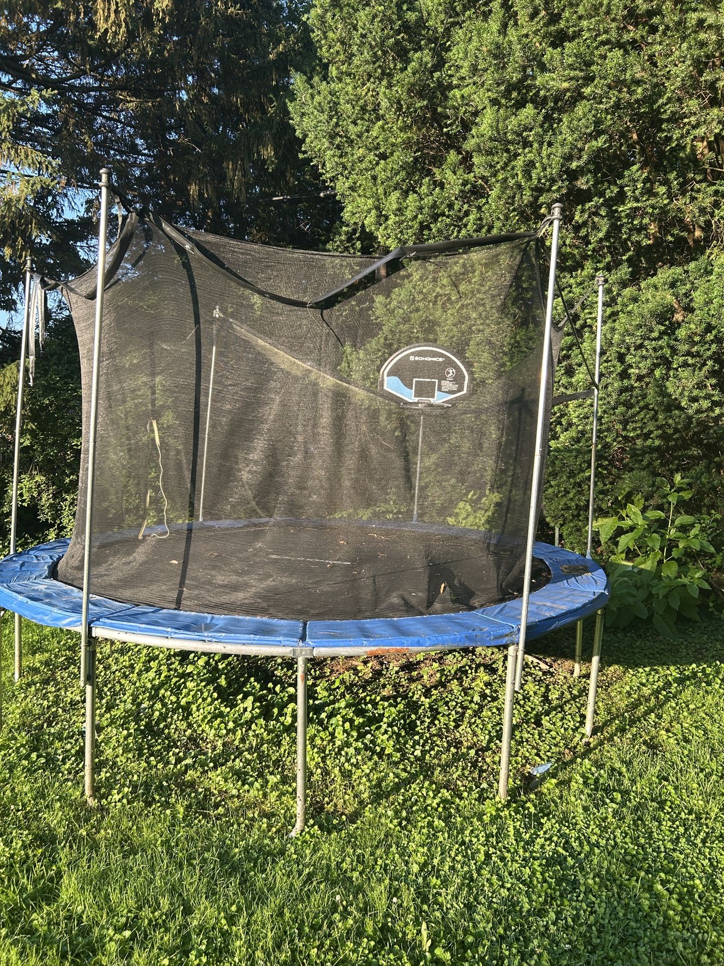 Free Trampoline