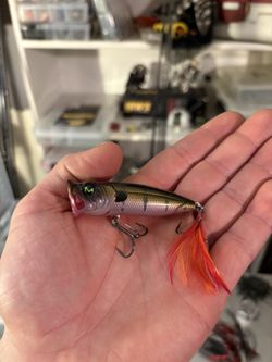 Mach Spraying Shad “Ghost Gill”  Topwater* Lure