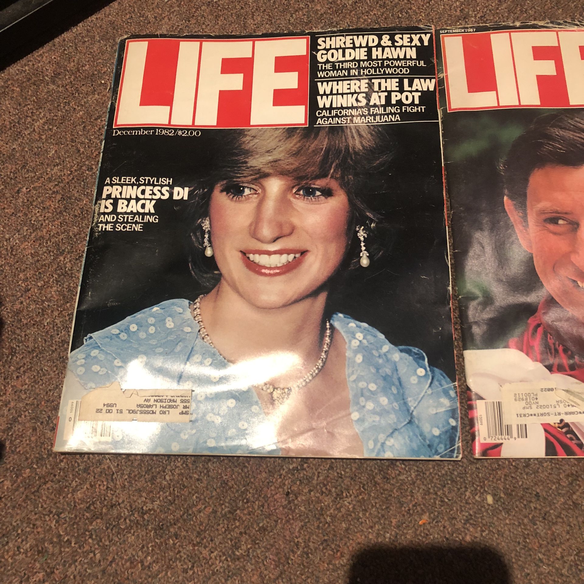 LIFE MAGAZINE PRINCESS DI ISUES