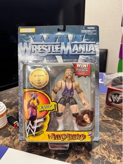 Vintage Wwe Figs