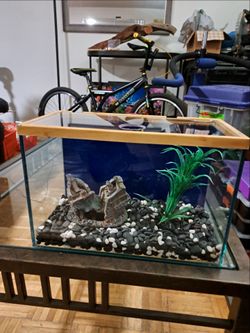 Aquarium 2 gallon glass