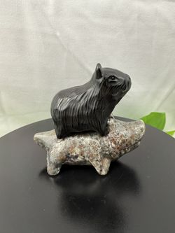 Crystal Obsidian Capybara on Crocodile