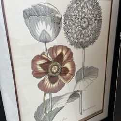 Framed art