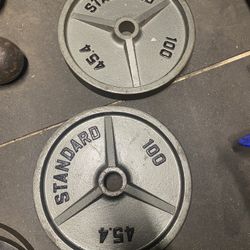 100 Lbs Pound Olympic Weight Plates Heavy Pair