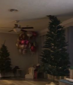 Christmas tree NO LOWBALLERS