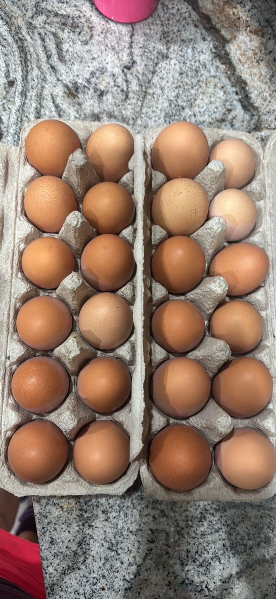 Farm Fresh Eggs