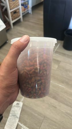 Cat food