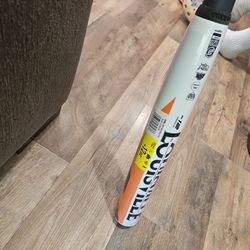 Brand new bat
