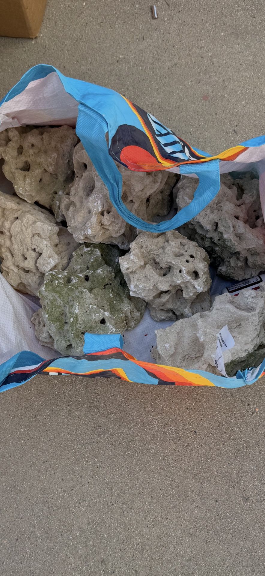 Coral Rocks