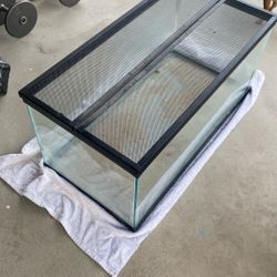 Turtle Tank Or Fish Tank 
