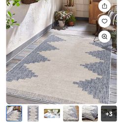 Out Door Indoor Rug
