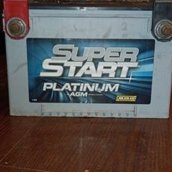 Super Start  PLATINUM AGM Car Or  TRUCK Battery