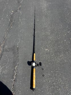 Daiwa Sealine SL20SH w/ Graftech GIS70L