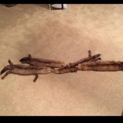 Authentic Real Fox Fur With Feet