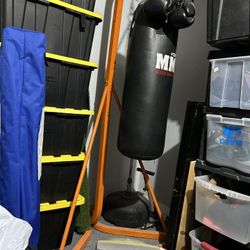 Punching Bag With Stand