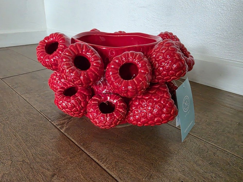 Brand New Ceramic Raspberry Pot