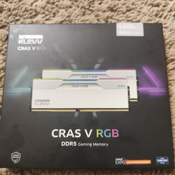 Klevv CrasV 64gb DDR5 RAM