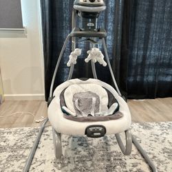 Graco Swing And Rocker