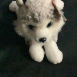 Stuffed animal dog