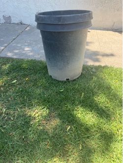 12 containers for plants or whatever you want to use   Two dollars each