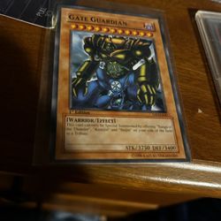 Gate Guardian 