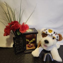 Happy face dog hat size small