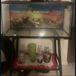 Reptile Vivarium with Stand & Lamps (no live pet included)