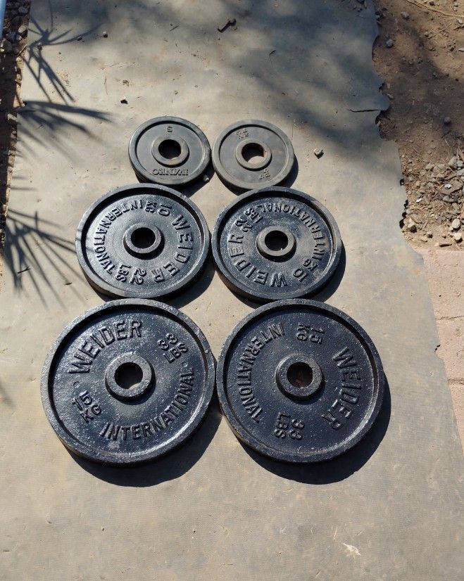 Olympic Weights 120lbs