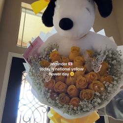 Snoopy Bouquet 25 Roses 