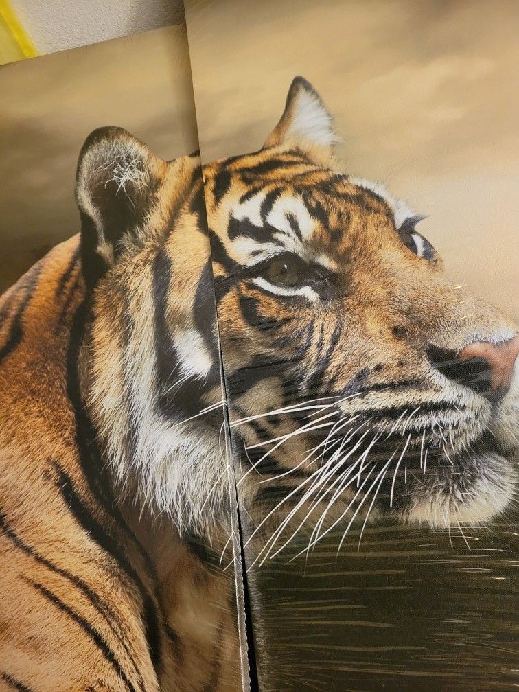 *Wooden Frame* 4 panel wall art Tiger Canvas *READY TO HANG** *NEW* SERIOUS INQUIRIES!!