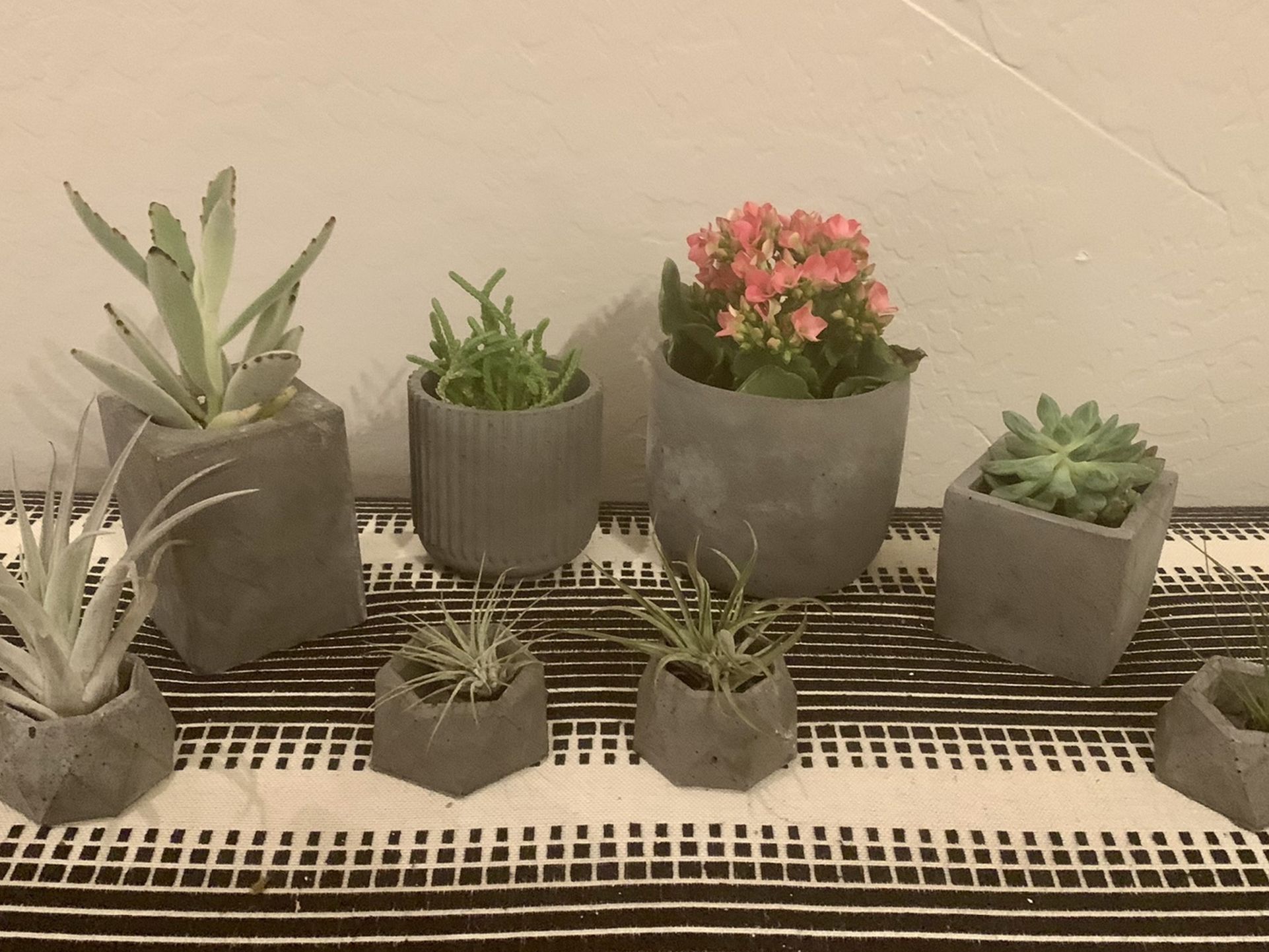 Handmade Concrete Modern Flower Pot