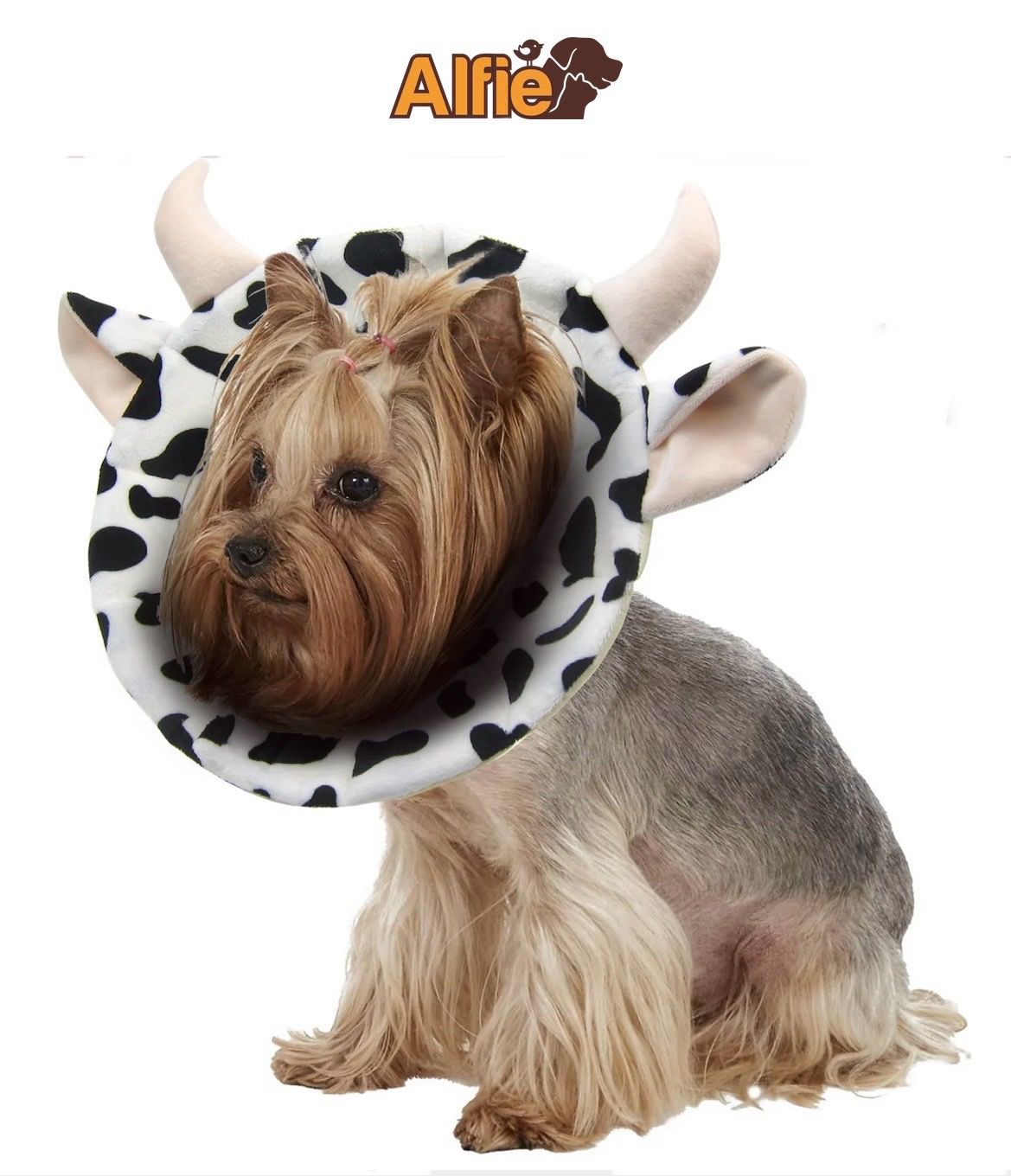 ALFIE NOAH COW RECOVERY COLLAR Ideal for injuries, rashes and post surgery. Work great for both cats and dogs 🆕👍