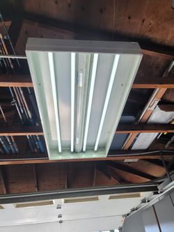 T8 4 Foot LED Lights