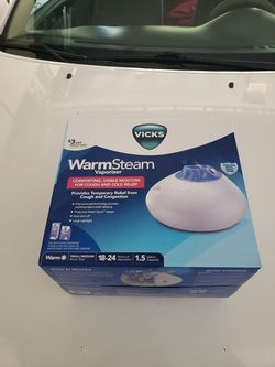 Warm steam vaporizer