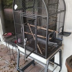 Parrot Cage